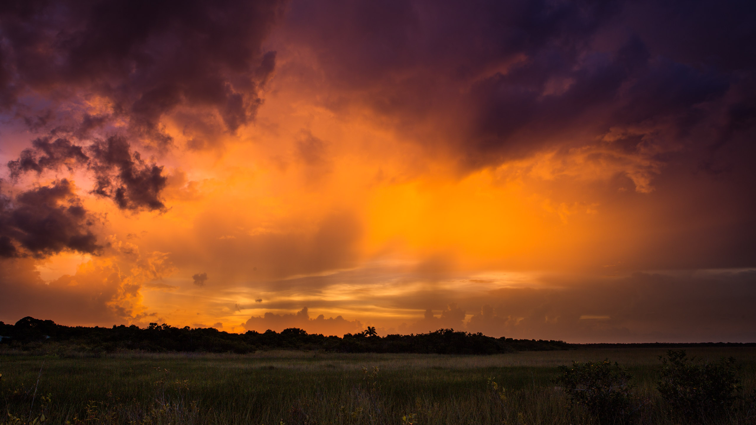 Thunderstorm Twilight - Everglades, Florida, USA